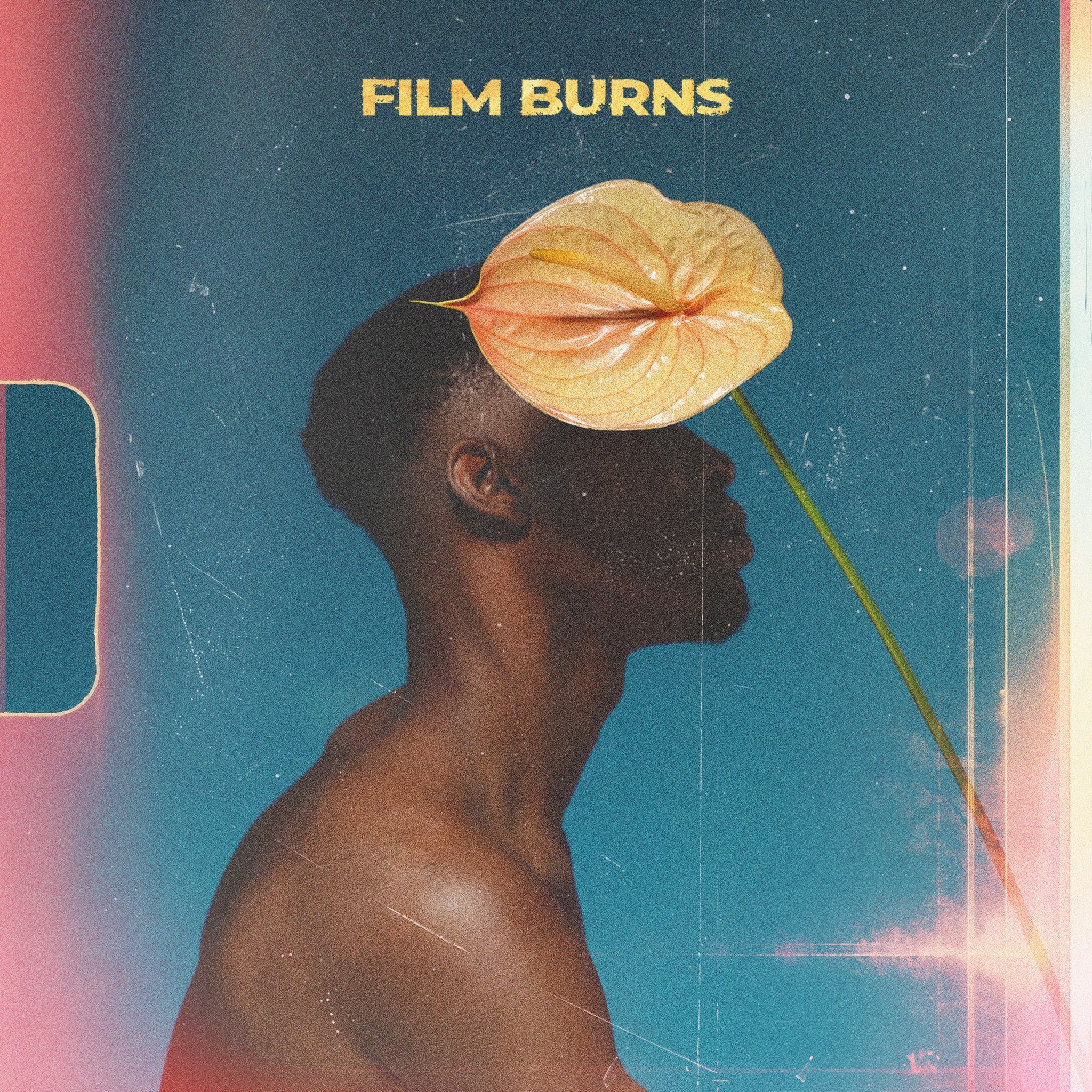 FILM BURNS